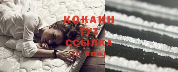 шишки Армянск