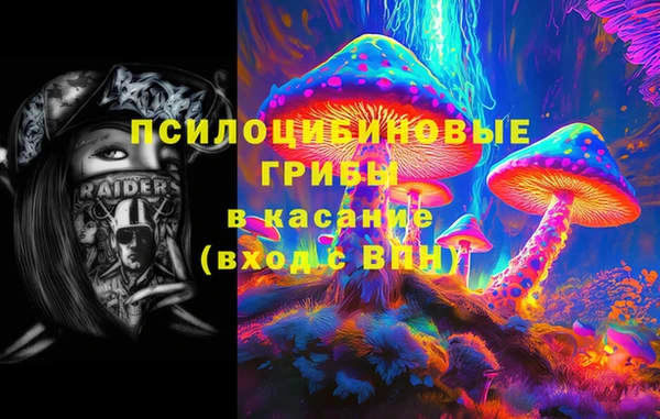 a pvp Инта