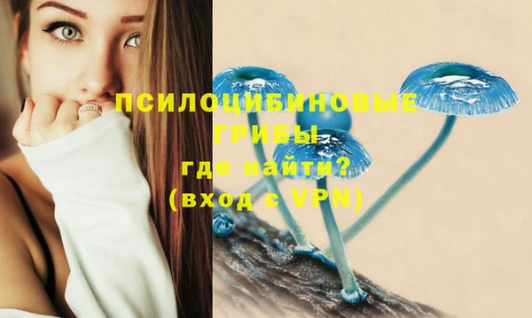 шишки Армянск
