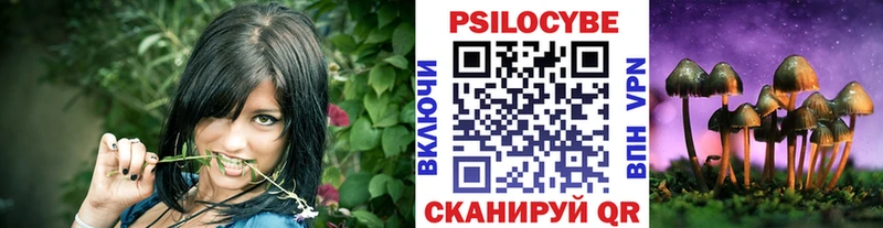 Галлюциногенные грибы мухоморы  где купить   Мичуринск 